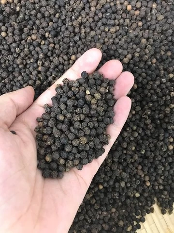 Dried Black Pepper 5mm High Quality and Cheap Price from Vietnam