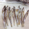 DRIED EEL FISH MAW_CHEAPEST PRICE- PREMIUM QUALITY