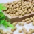 Import Dried Soya Beans Soybean Soya Bean Wholesale Prices from China