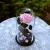 Dymalo Best Christmas Gift Roses  Stabilized Preserved Flower Eternal Rose in Glass Dome
