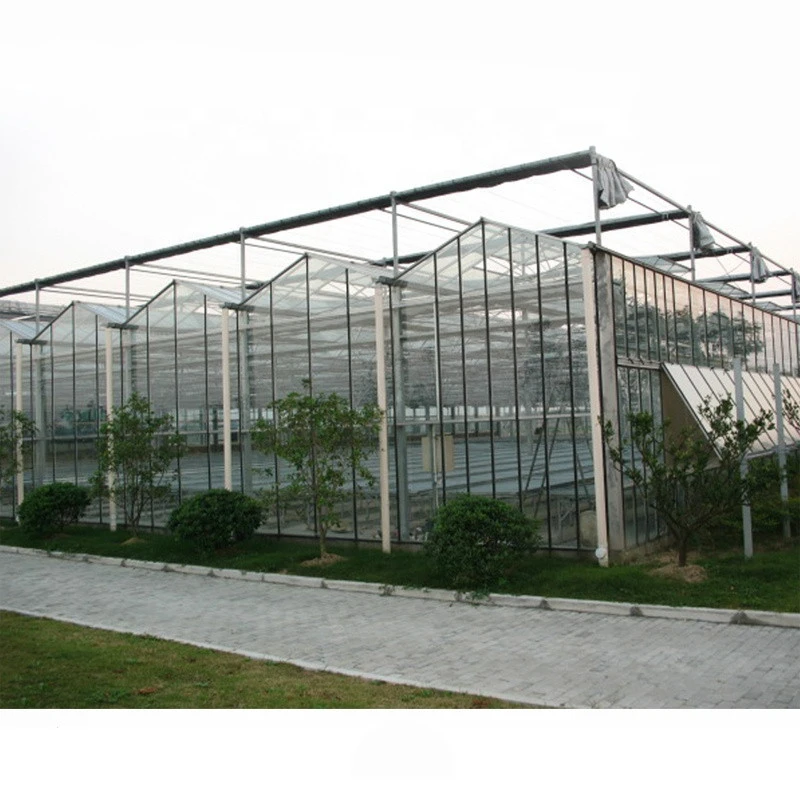 Easilly assembled chinese manufacture aluminum agricultural greenhouse