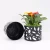 Import Econo Home Decor Luxury Succulent Plants Pot Living Room Durable Plant Plastic Self-watering Planters Flower Vase Pot from China