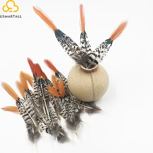 Factory Wholesale Exporting Carnival Costume Items Dyed Ringneck Pheasant Tail Feathers for sale