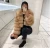 Import Factory Wholesale Fur Coats Women&#x27;s Turn Down Collar Zipper Faux Fur Jackets Plus Size Lady&#x27;s Fox Fur Coat Cropped Jacket from China