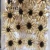 Import fashion decor bridal wedding hair clip brooch wreath handmade natural Preserved Fresh dried sesame flowers from China