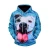 Import Fashion Men Women Boy Girl Hooded Couples 3D Graphic Print Jacket Sweater Sweatshirt Pullover Top xxxxl Hoodies from China