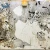 Import First quality luxury exotic brazilian white patagonia granite price from China