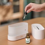 Flame Diffuser Humidifier Support Essential Oils Fire Flame Effect LED Light Ultrasonic USB Air Humidifier Fire Aroma Diffuser