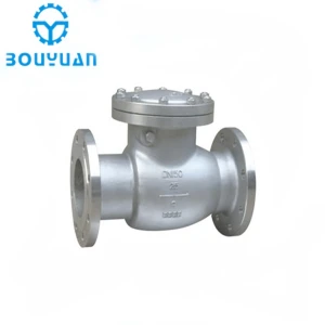 Flanged Stainless Steel Swing Check Valve From China
