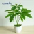 Import Flowerking Brand wholesale pachira aquatica pachira money tree plant artificial small bonsai artificial bonsai from China