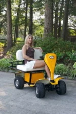 folding mini electric 2 seater small golf cart with curtis controller (AX-A4)