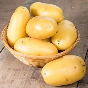 Fresh Bangladeshi Yukon Gold potato Brown potato