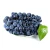 Import Fresh Black Grapes / china Seedless Grapes / Exporter Fresh Grapes from China