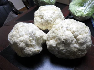 fresh egyptian cauliflower high quality (A)