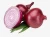 Import Fresh Holland red Onion in Mesh Bags from China