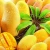 Import Fresh Mango From Peru Sweet and High Quality from Peru