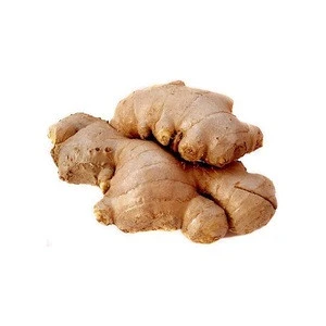 Fresh Organic Ginger from India