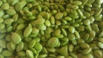 Fresh Petai Bean Peeled/Bitter Bean Peeled (Parkia Speciosa)