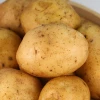 fresh potato importers in dubai