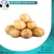 Import Fresh potato Vegetables from Egypt