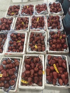 FRESH ROSE APPLE - Vietnamese special fresh bell fruit
