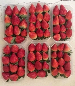 fresh strawberry TO Greece