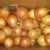 Import Fresh whole peeled onion from China