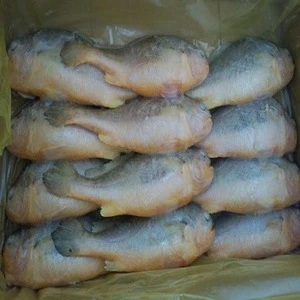 Frozen silver croaker fish seafood spot suppliers Seafood