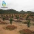 Import fruit tree irrigation system project sample from China