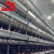 Import Full Automatic Layer Poultry Farm Cage  In Philippines from China