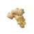 Import Ginger fresh organic ginger newest crop in bulk professional export gengibre fresh ginger from China