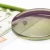 Import Good quality  hot sell 1.499 polarized green 80mm optical eyeglass lenses from China