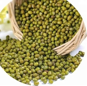 Grade Organic cultivated Green Mung Beans/Vigna Beans price in stock