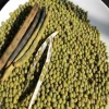 Green mung bean protein powder unhulled