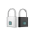 Import Guangdong Manufacturer Safety Luggage Biometric Padlock With Fingerprint from China