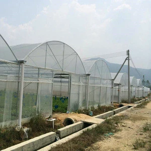 gutter connected film greenhouse for vegetable seeding and planting