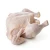 Import Halal Whole Frozen chicken With Discount For Bulk Buyers from Germany