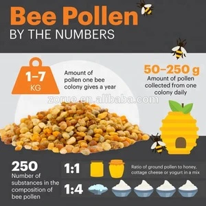 health benefits sweet colorful mixed bee pollen