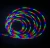 Import High Lumen silicon rubber small 12v car wire strips waterproof flexible led neon strip light from China