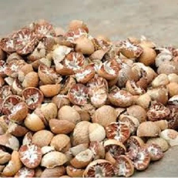 High Purity Raw Sun Dried Betel Nuts Whole Sale