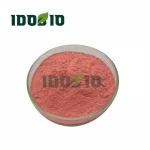 High Quality 100% pure Organic strawberry freeze dried powder