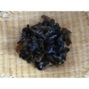 HIgh quality Dried Black Fungus Mushroom