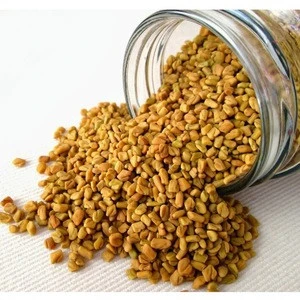 High Quality New Products Natural Fenugreek For Sale, Machine Clean Seed