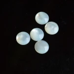 High quality white mop shell inlays blanks shell pieces