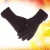 Import HIgh quality winter warm fleece gloves / Outdoor riding windproof velvet gloves / touch screen gloves from China