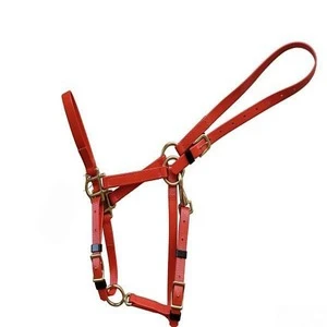 Horse Care Product, Cost-efficient 3/4 Inch Pvc Horse Riding Halter