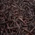 Import Hot sale !! High quality Black Bourbon Madagascar Natural Organic Vanilla beans for export. from Philippines