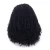 Import Hot Selling Afro Kinky Curly Wigs Heat Resistant Replacement Wigs Natural Looking Synthetic Lace Front Wigs for Black Women from China