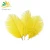 Import Hotel Wedding Decoration Ostrich Feather for Art Performance from China