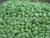 Import Human Consumption IQF Edamame Green Soybean Frozen Soya Bean from China